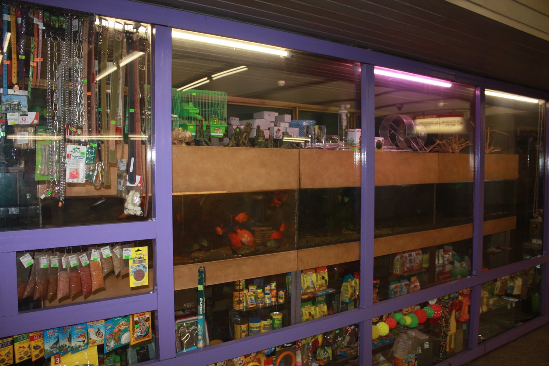 Aquarium store coral and livestock display used as context for reef shop labels