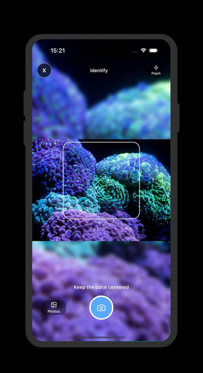 Coral Identifier scanning screen