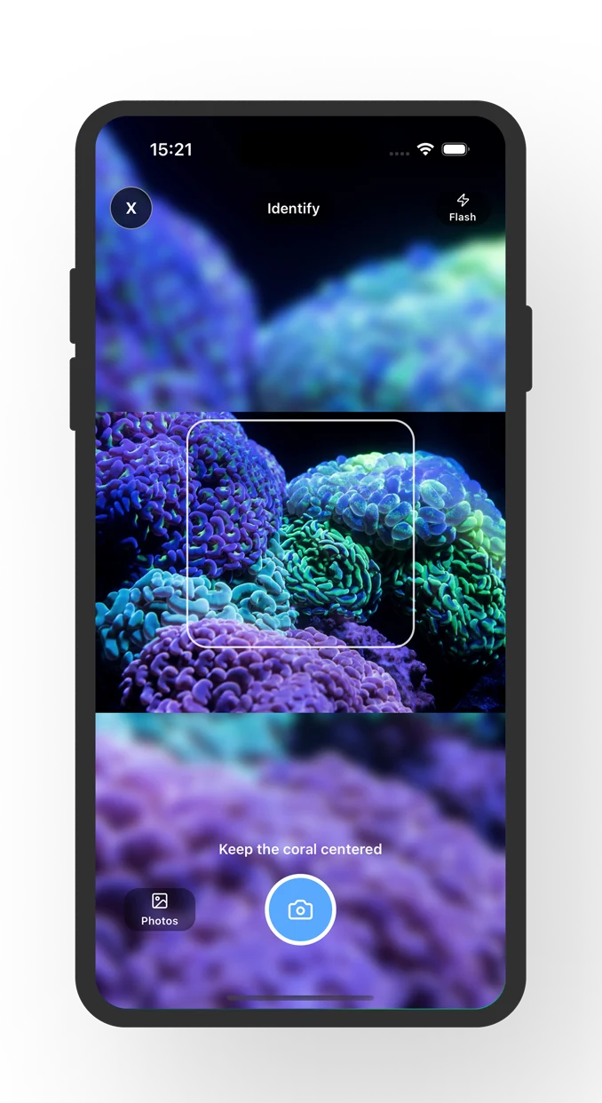 Coral Identifier scan screen