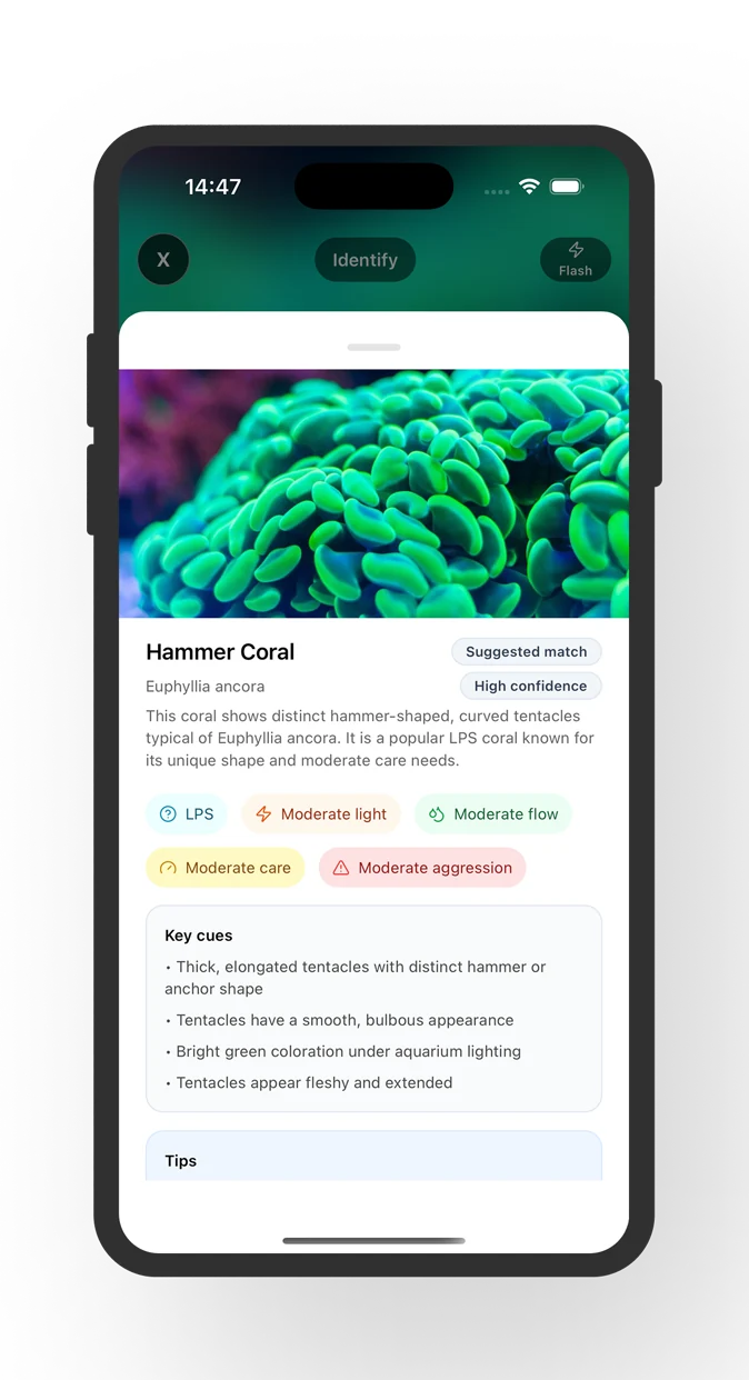 Coral Identifier result screen